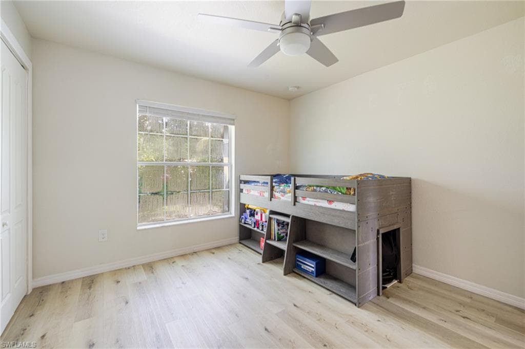 211 Palmacea RD-16