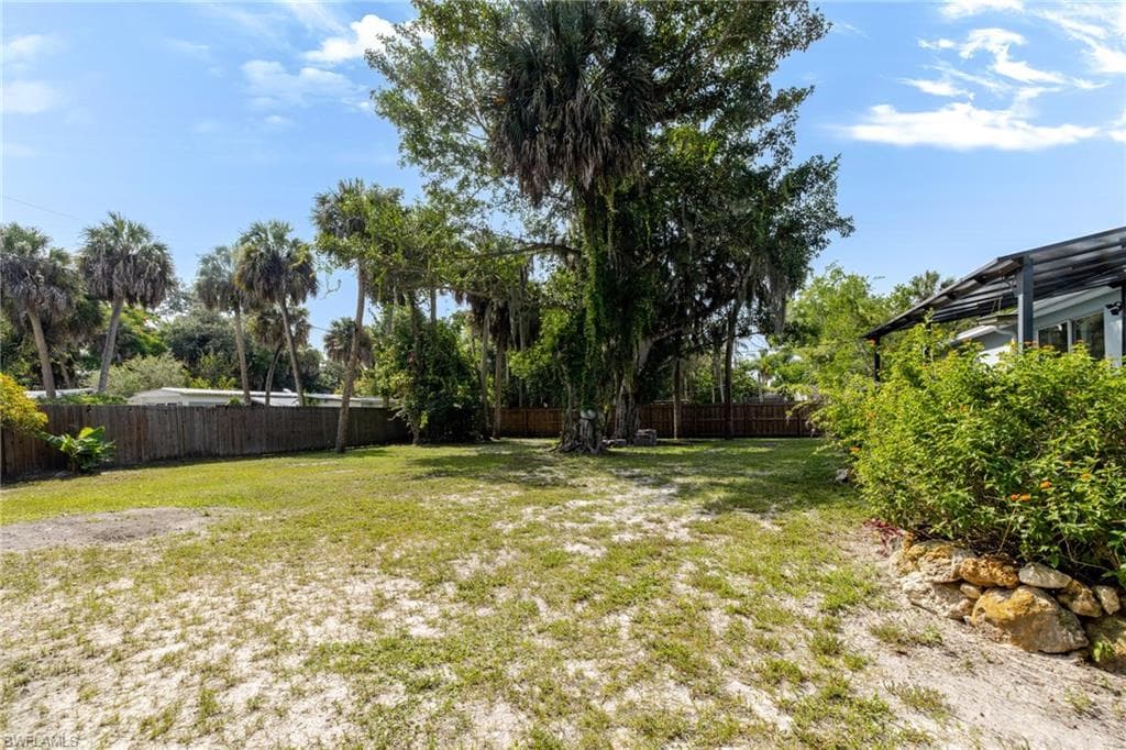 211 Palmacea RD-46