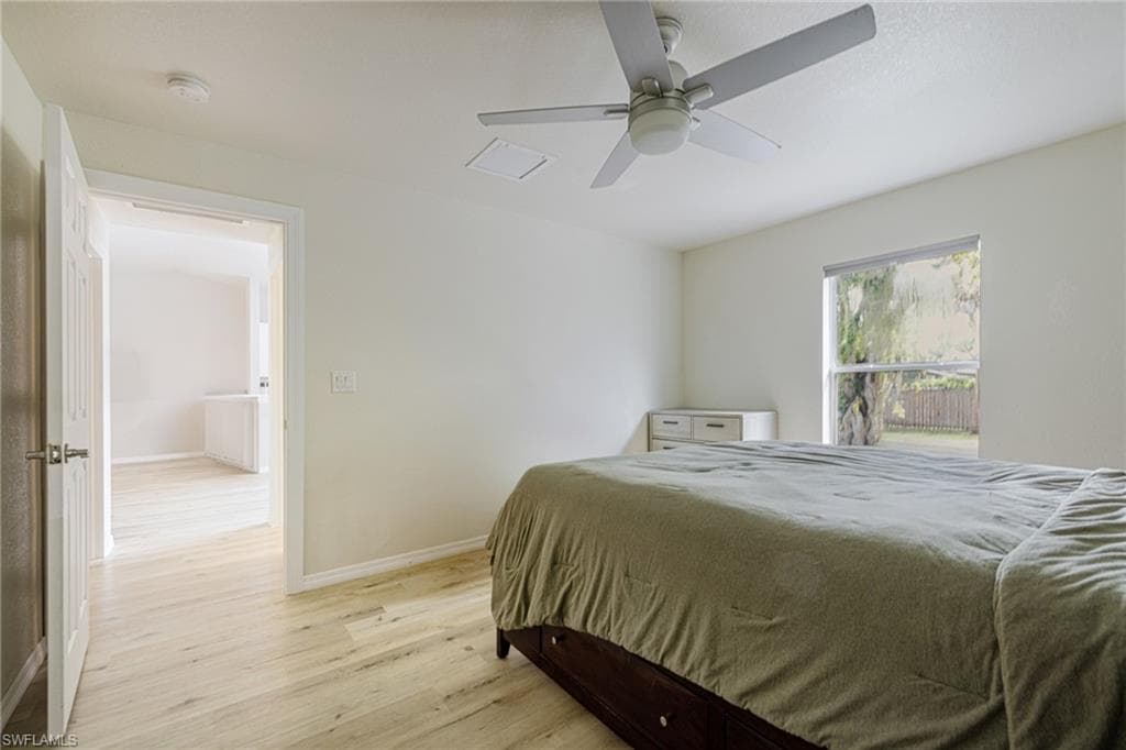 211 Palmacea RD-21