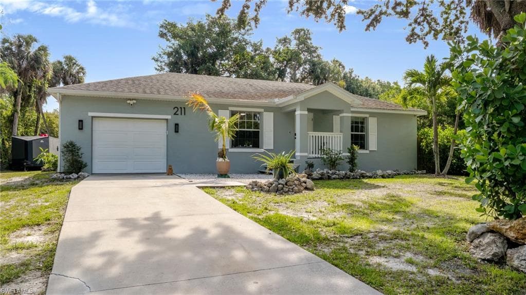 211 Palmacea RD-35