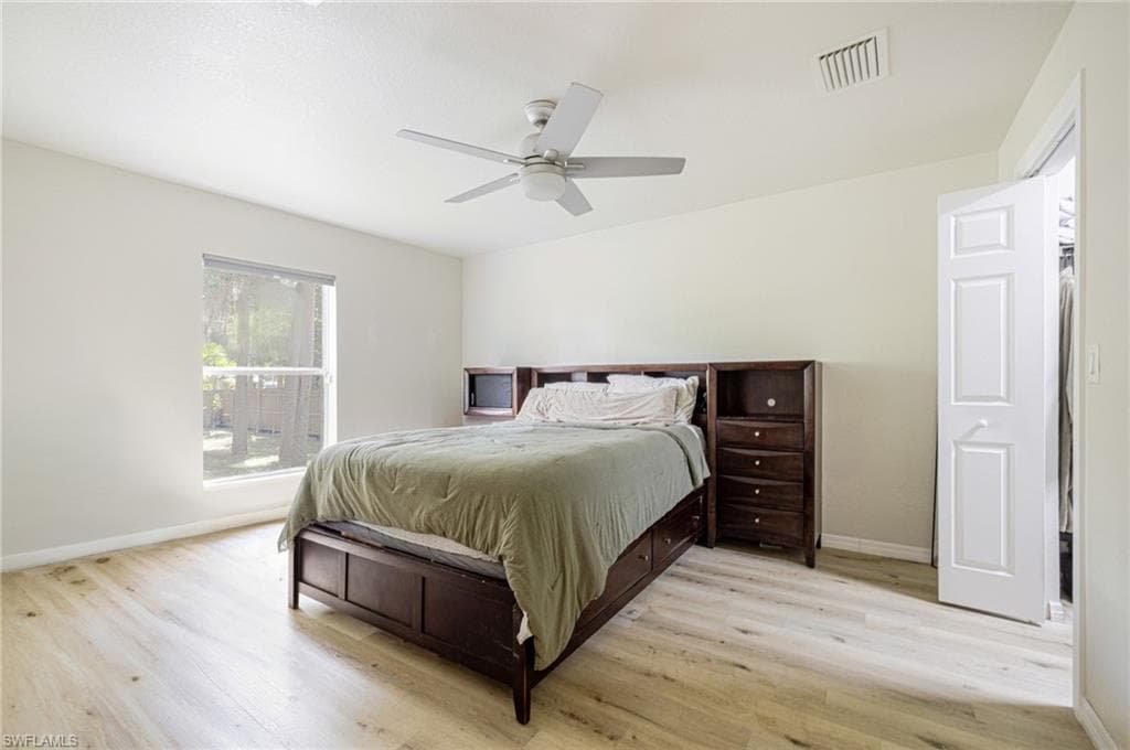 211 Palmacea RD-19