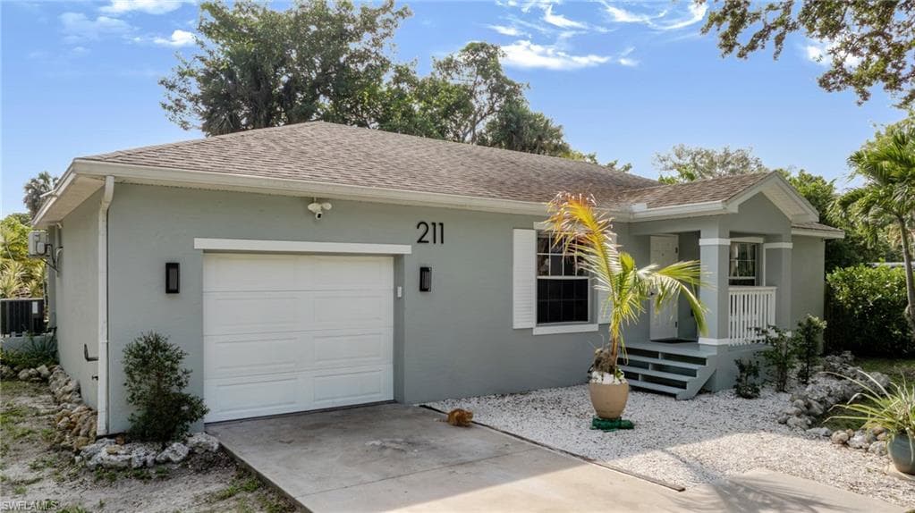 211 Palmacea RD-37