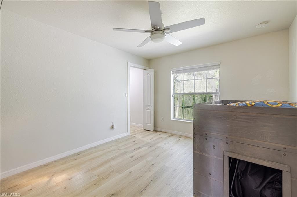 211 Palmacea RD-18