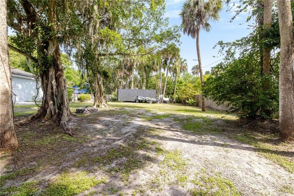 211 Palmacea RD-30
