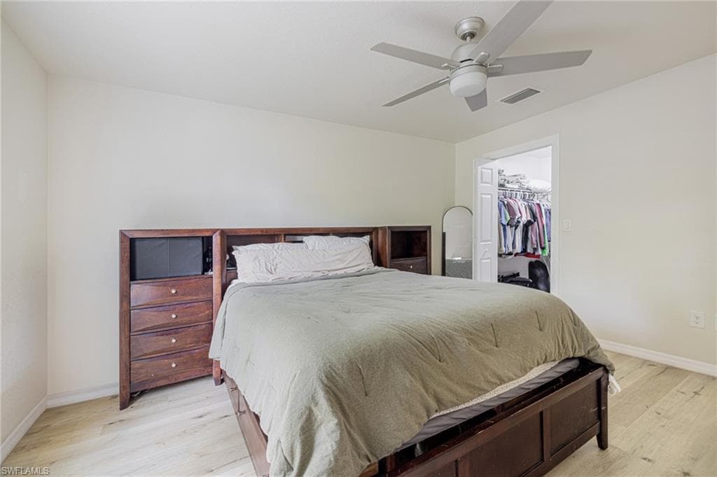 211 Palmacea RD-20