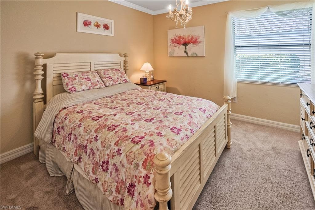 9215 Veneto LN-11