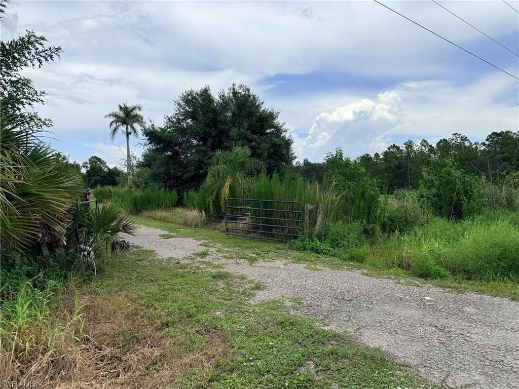 925 Purple Martin DR-22