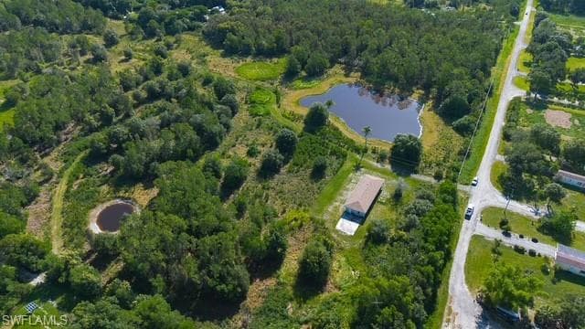 925 Purple Martin DR-1