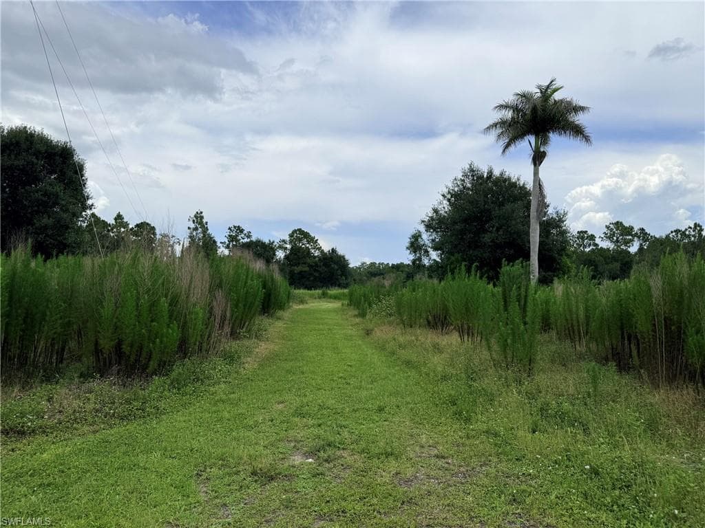 925 Purple Martin DR-21