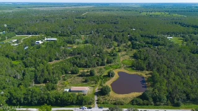 925 Purple Martin DR-2