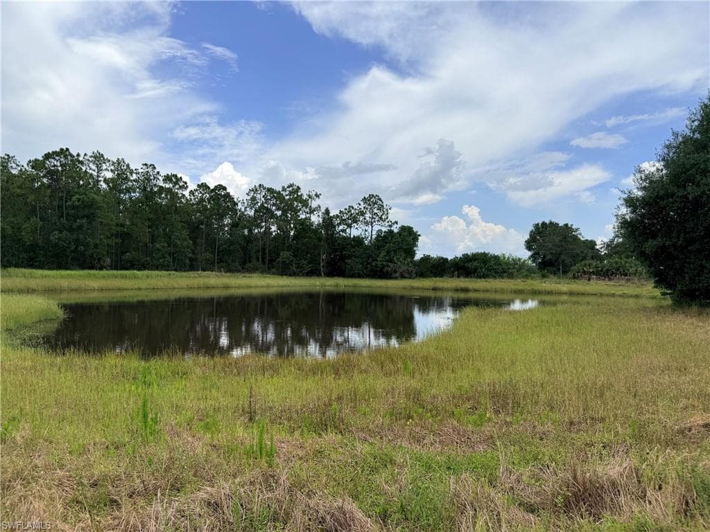925 Purple Martin DR-19