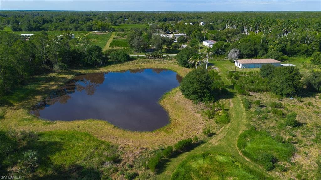925 Purple Martin DR-14