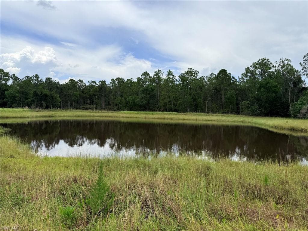 925 Purple Martin DR-18