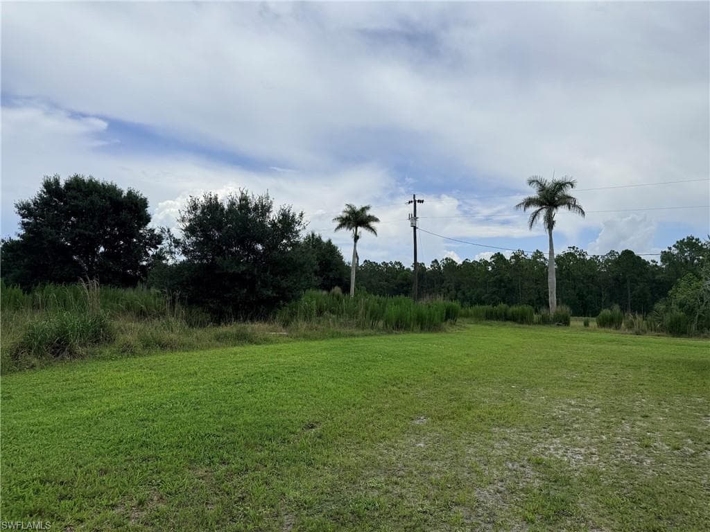 925 Purple Martin DR-7