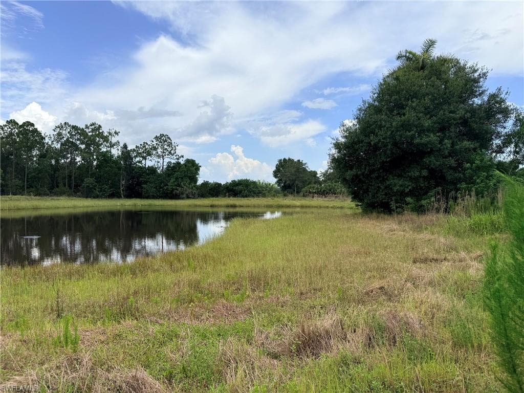 925 Purple Martin DR-20