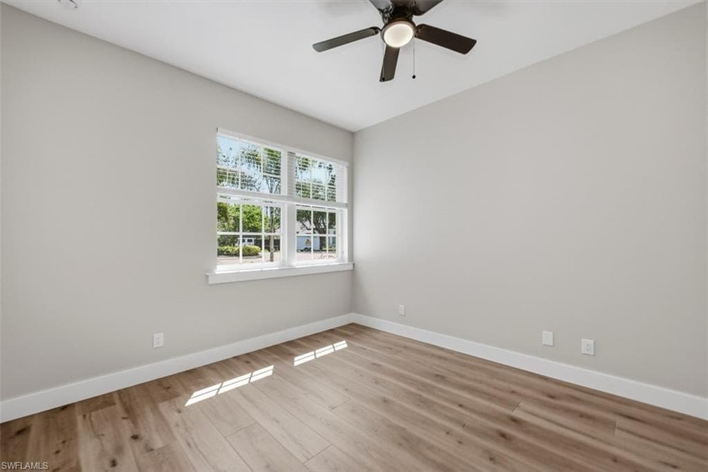 24720 Bay Bean CT-23