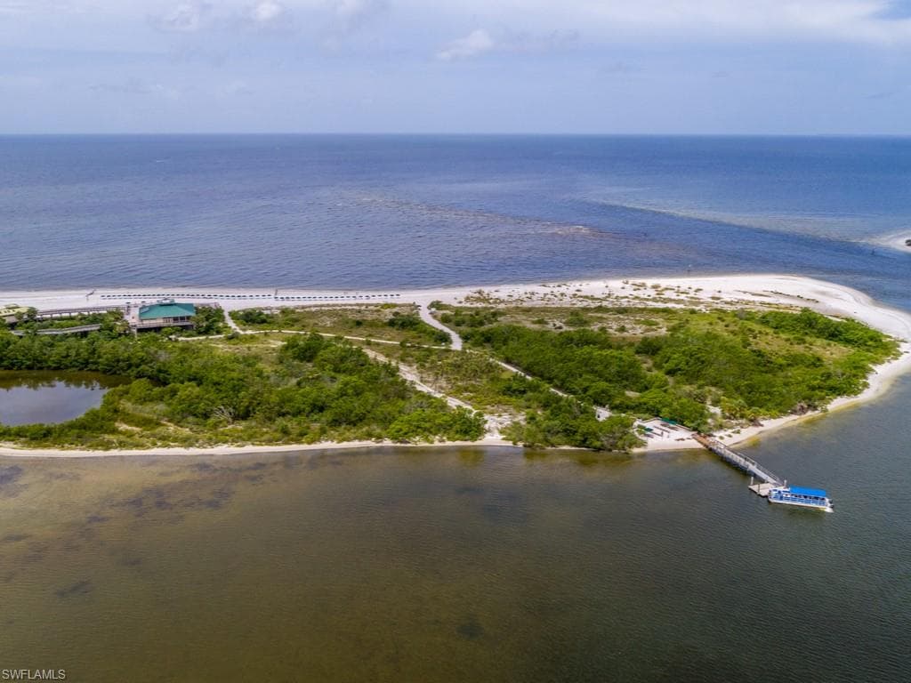 24720 Bay Bean CT-43