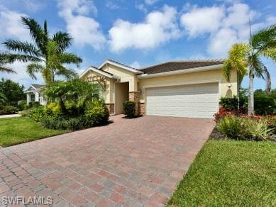 259 Tamarindo LN-1