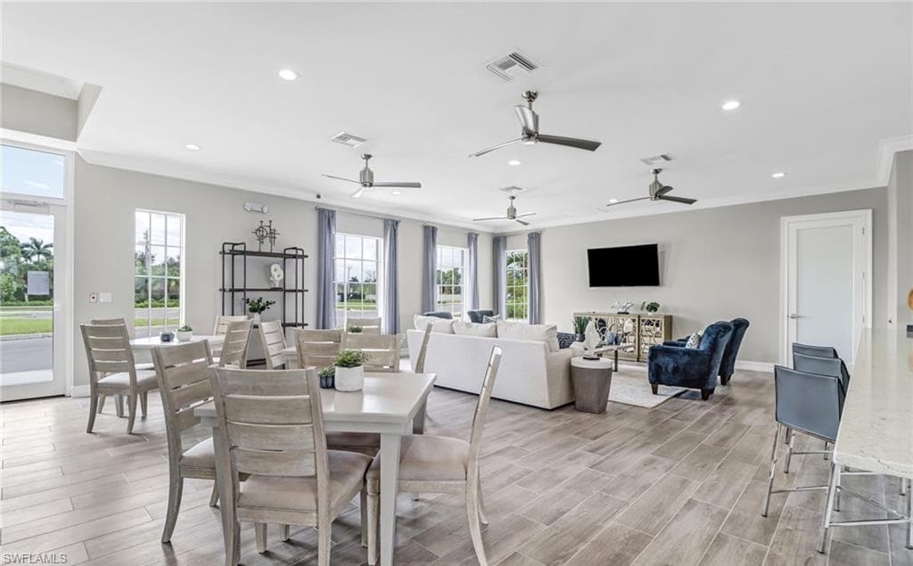 259 Tamarindo LN-41