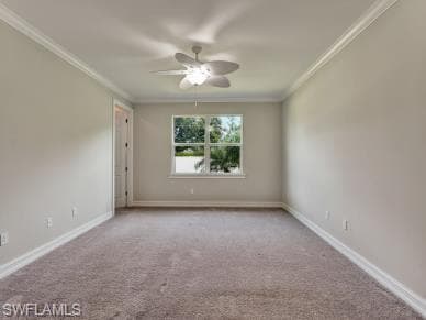 259 Tamarindo LN-12