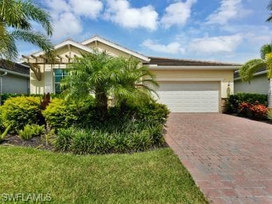 259 Tamarindo LN-2