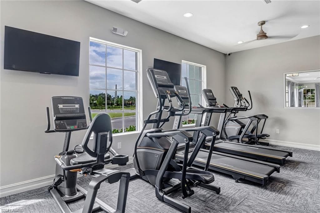 259 Tamarindo LN-48