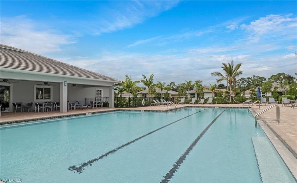 259 Tamarindo LN-47