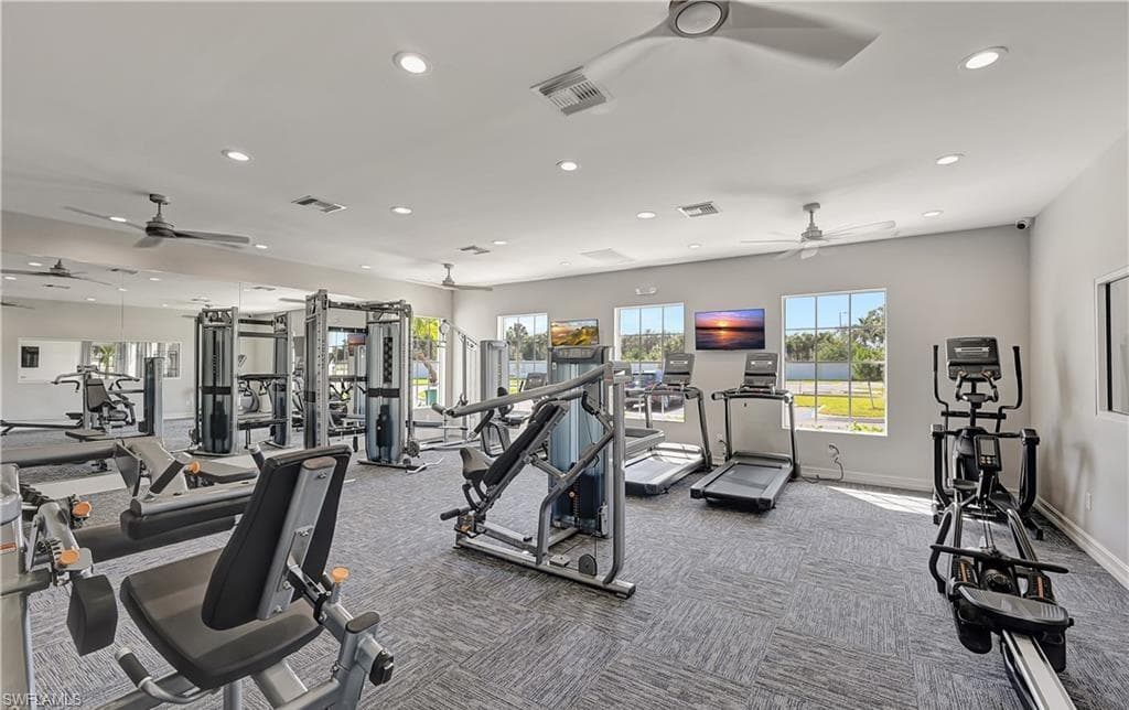 259 Tamarindo LN-43