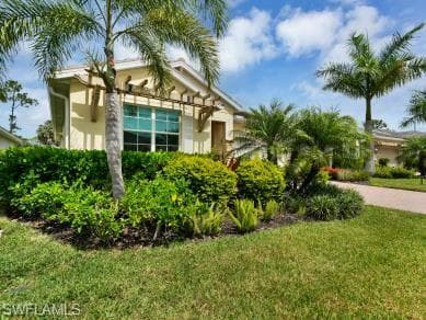 259 Tamarindo LN-3