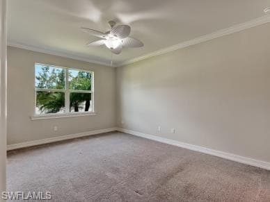 259 Tamarindo LN-24