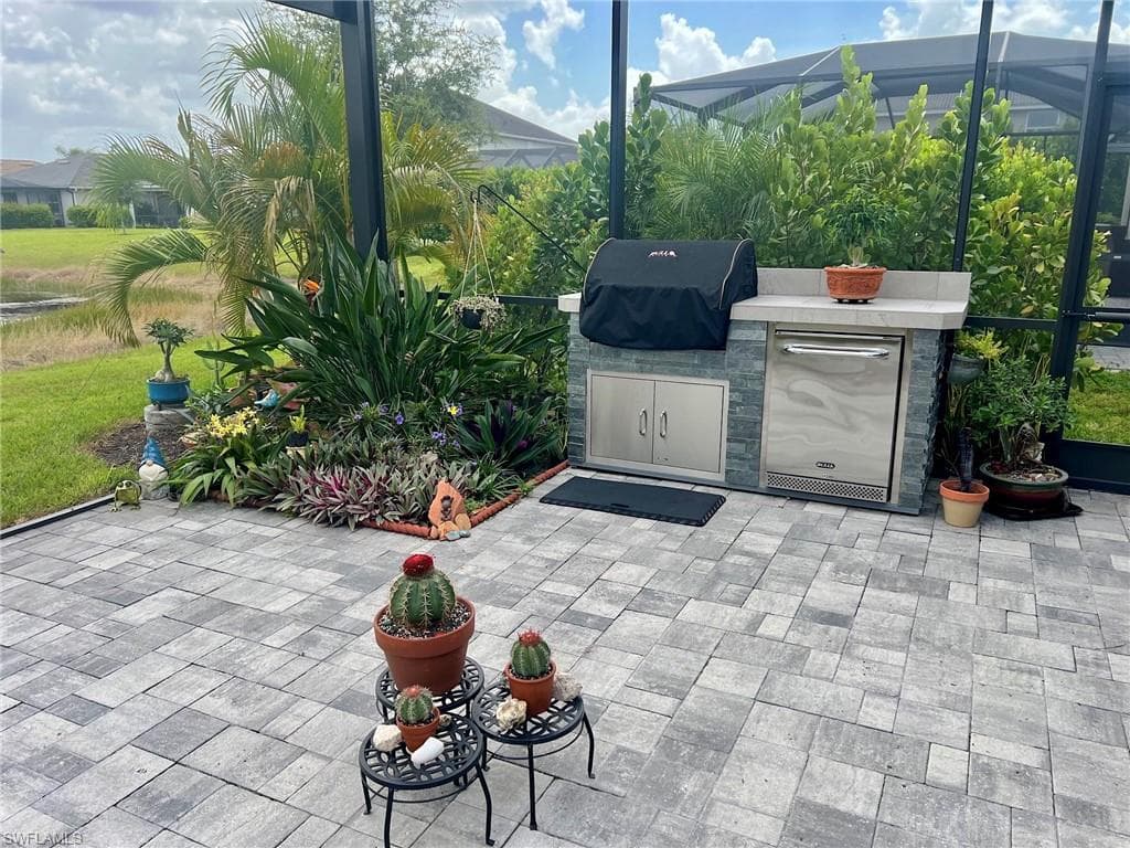 2218 Cara Cara WAY-31