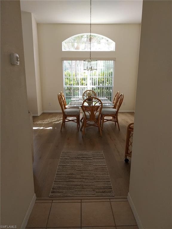 449 Dundee CT-7