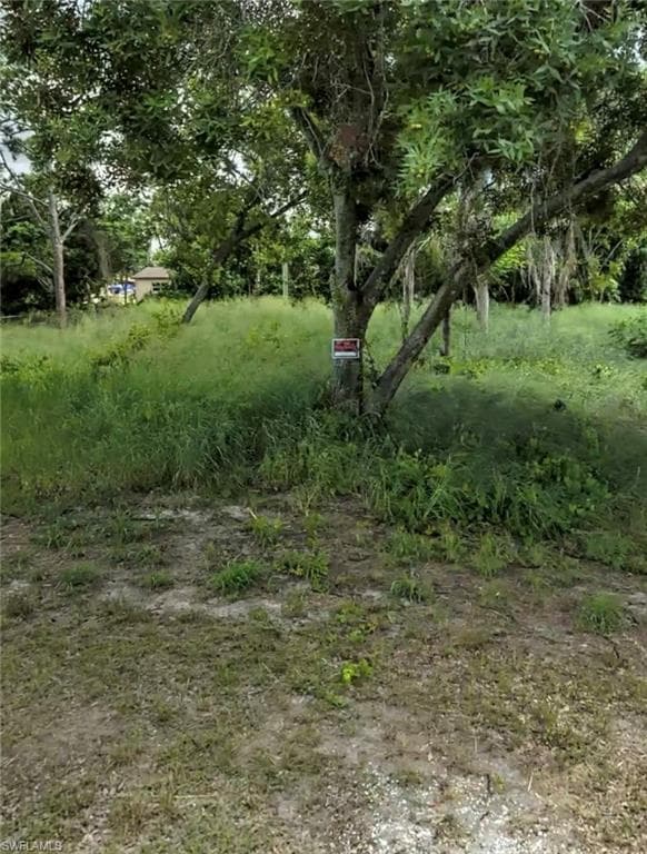 124 Lime RD NW-4