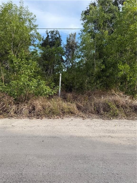 5973 Sandal LN-4