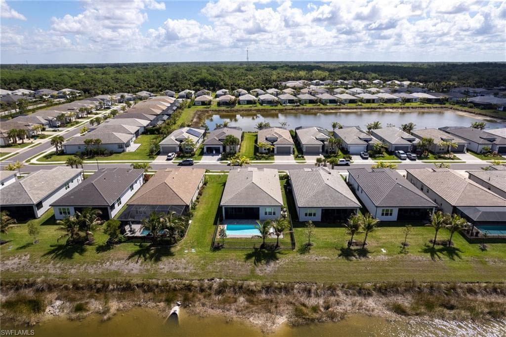 12363 Purple Ficus WAY-33