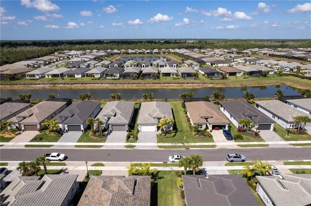 12363 Purple Ficus WAY-31