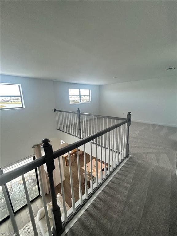 11299 Canopy LOOP-11