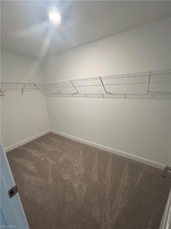 11299 Canopy LOOP-13