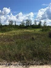 5390 GAME BIRD LN-1