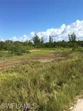 5390 GAME BIRD LN-5