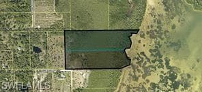 5390 GAME BIRD LN-6