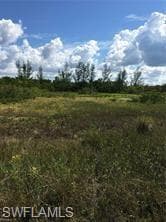 5390 GAME BIRD LN-4