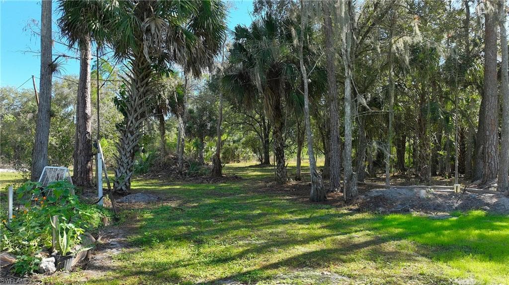 22950 Tinas LN-32