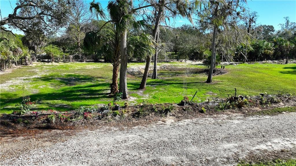 22950 Tinas LN-34