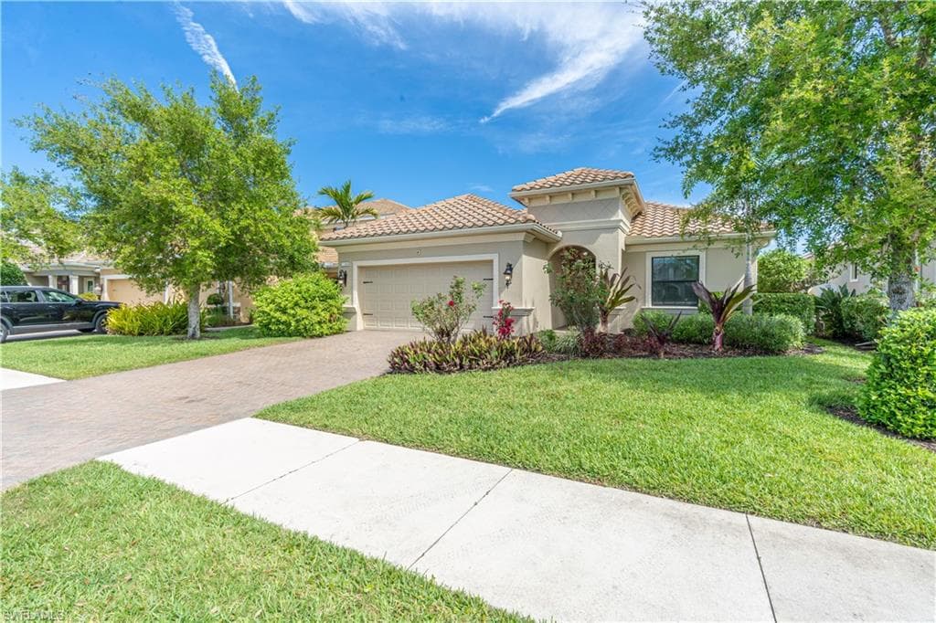 3549 Canopy CIR-1