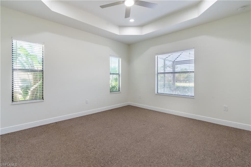 3549 Canopy CIR-25