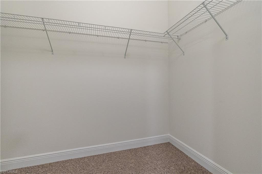 3549 Canopy CIR-31