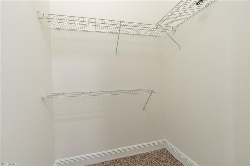 3549 Canopy CIR-32