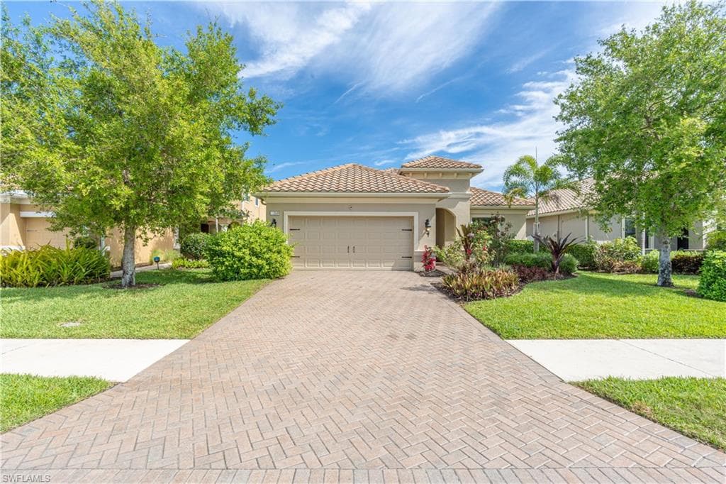 3549 Canopy CIR-3