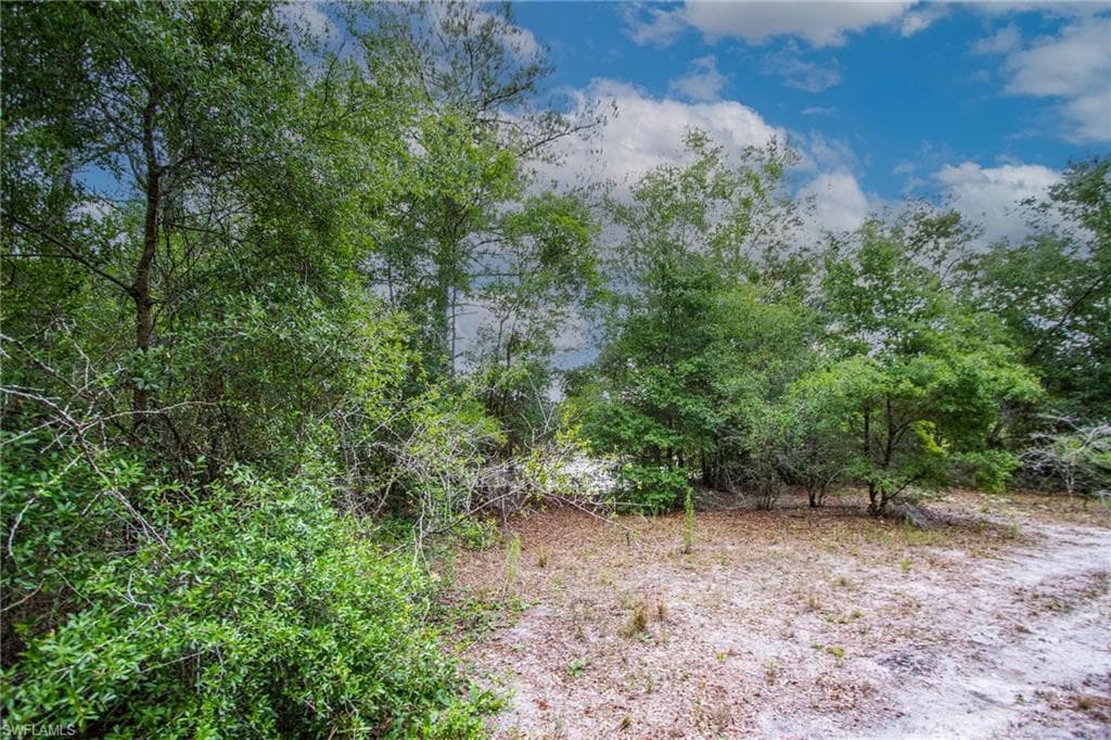 34122 August AVE-6
